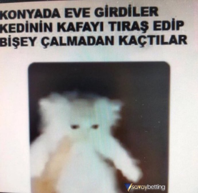 Evinize hiç hırsız girdi mi veya çalınan bir eşyanız oldu mu?