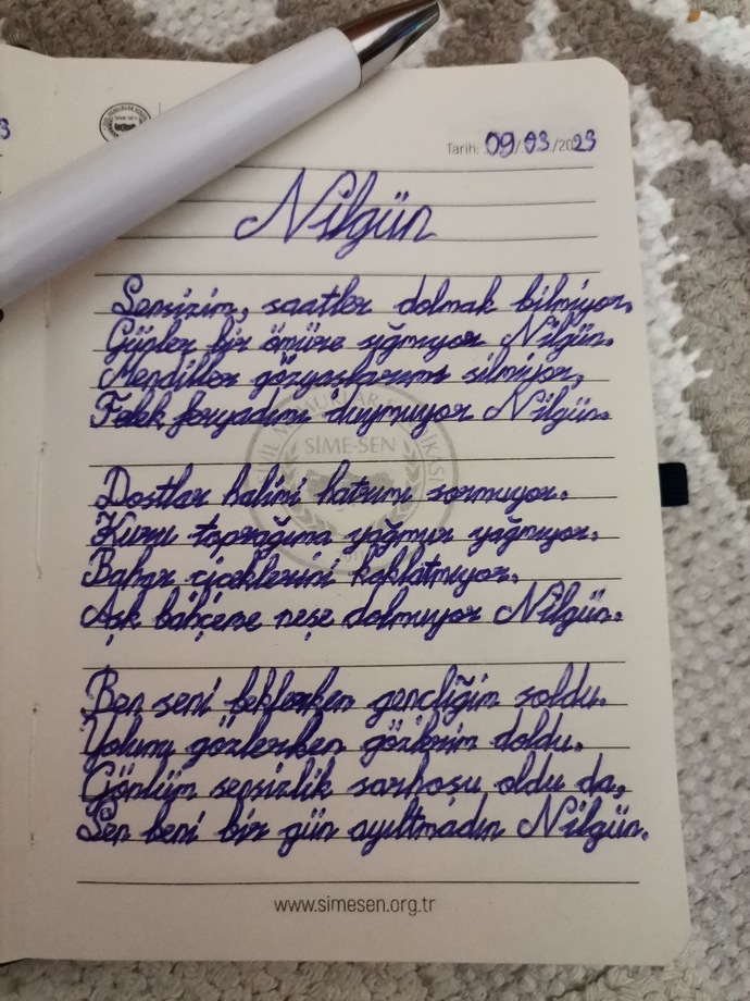 Şiir yazıyorum, görüşleri alalım nasıl sizce?
