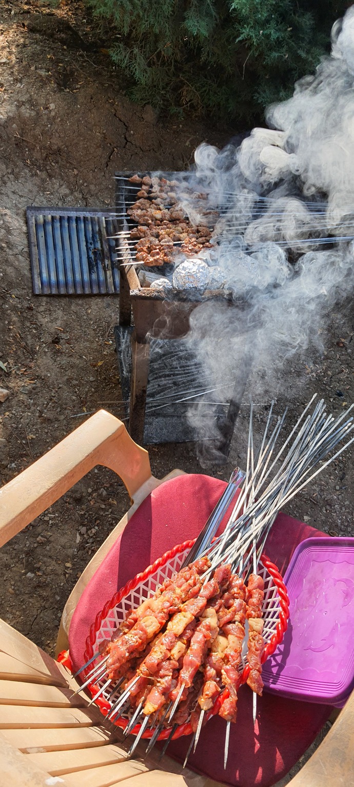 Piknik yapmak için tercihiniz orman mı olur sahil mi?