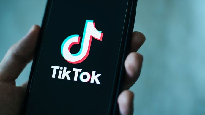Babam TikTok hesabı açmış. Bu adamın amacı ne olabilir?