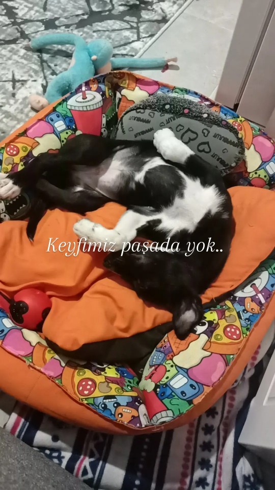 Bu hayatta uğruna yaşıyorum dediğiniz şey nedir?