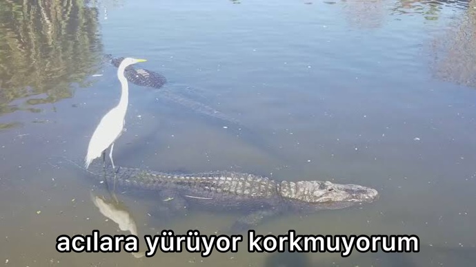 Bugünkü ruh haliniz nasıl?