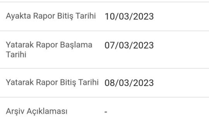 Bu rapor 2 günlük mü 3 günlük mü?