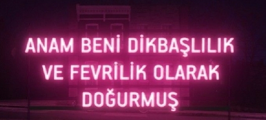 Dikbaşlı mısın, fevri mi?