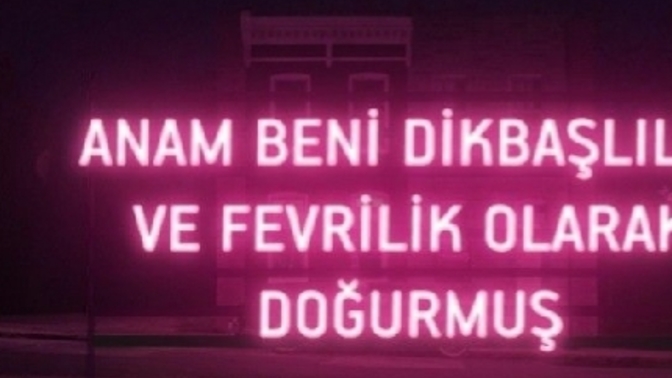 Dikbaşlı mısın, fevri mi?