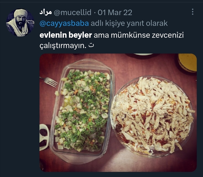 İşten gelince kafamı dizine koyup, bana elma ve mandalina soyup yedirecek hatunu nerde bulabilirim?