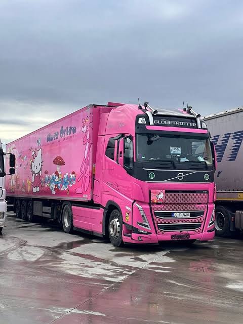 Rengi pembe olunca tatlı gözüken bir şey söyler misin?
