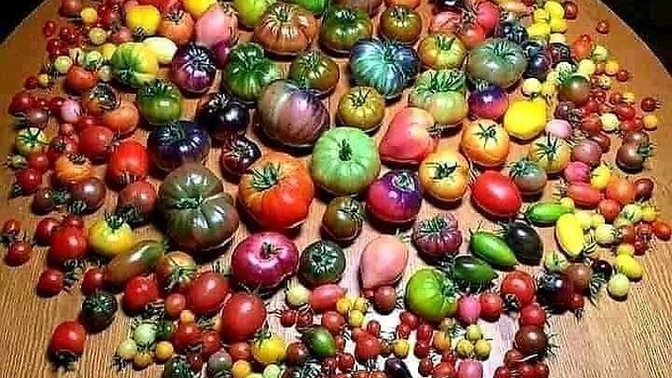 Kahvaltıda hangi yiyeceği seviyorsun?