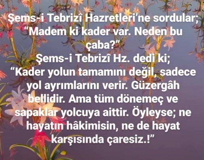 Arkadaşlar kader hakkında ne düşünüyorsunuz?