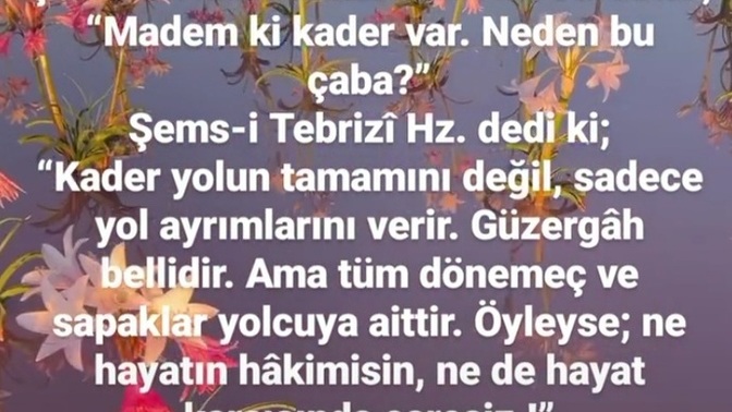 Arkadaşlar kader hakkında ne düşünüyorsunuz?