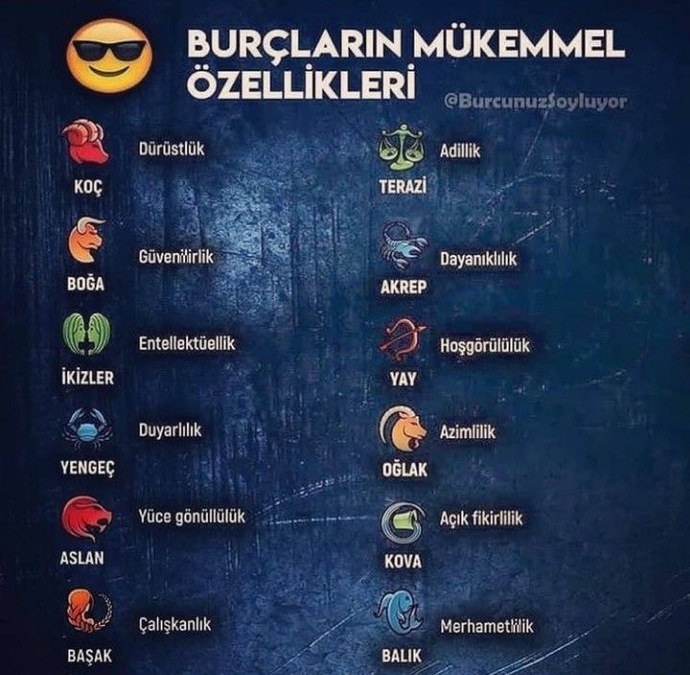 Burcuna göre mükemmel özelliğin ne?