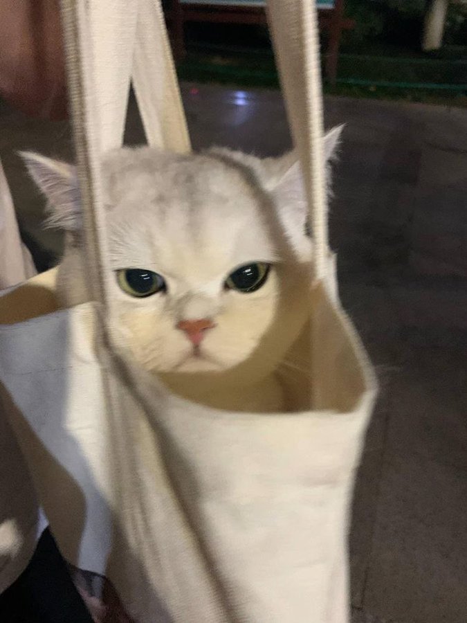 Çok çabuk sinirlenir misiniz?