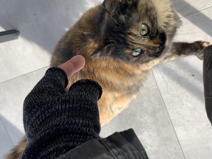 Sizin de böyle güzel dostlarınız var mı?
