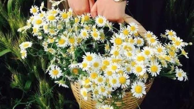 Kızlar, Bir kadın sizce şımarık olmalı mı? 😊 Siz ne kadar şımarıksınız 😊 ?
