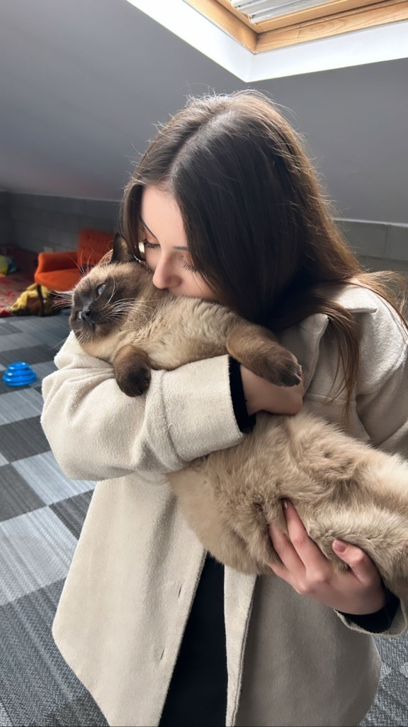 Şeker'in size selamı varr 😻 Sizde evcil hayvan besliyor musunuz?