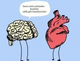 Mantığınızla  mı  hareket edersiniz  kalbinizle  mi?