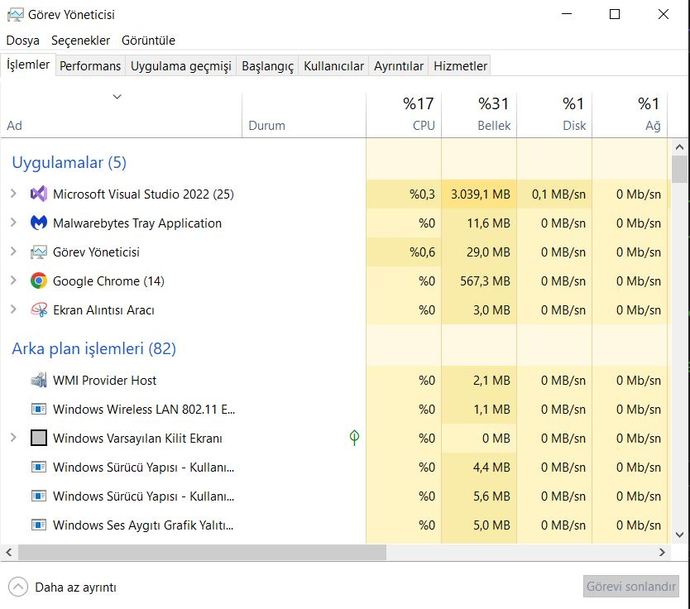 Visual Studionun yanında 25 yazması normal mi?