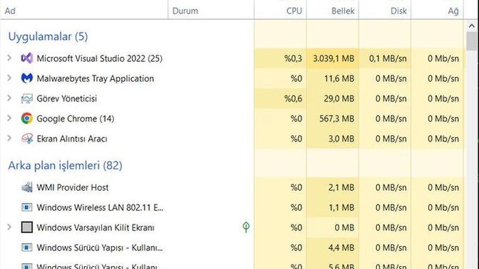 Visual Studio'nun yanında 25 yazması normal mi?