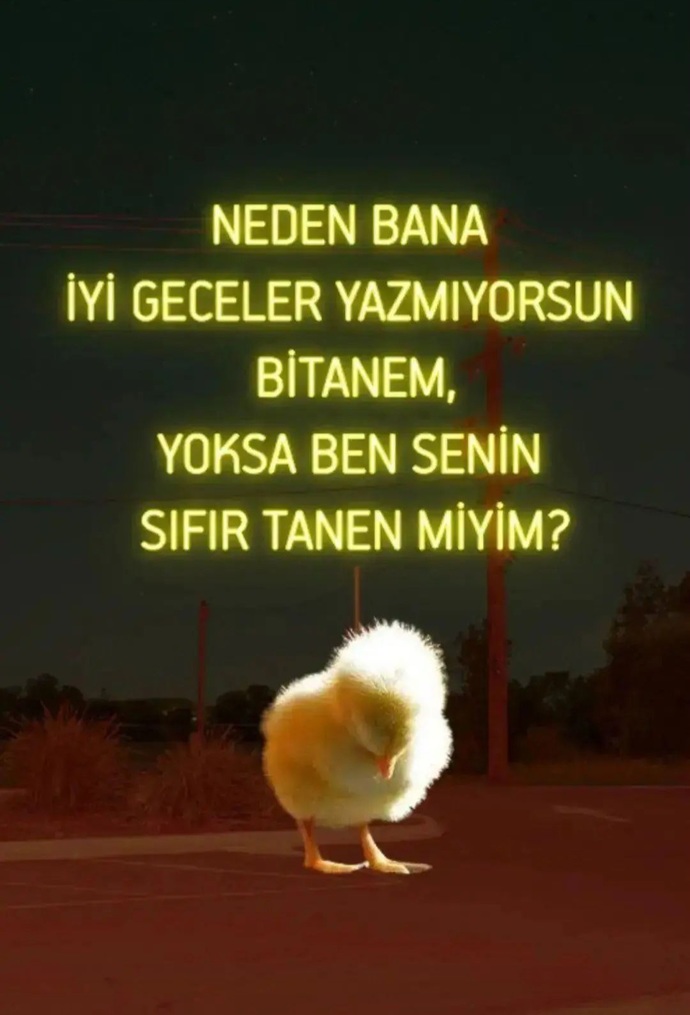 İyi geceler diyenin var mı?