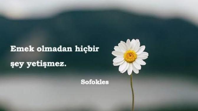 Bu zamanda okumak mı zor yoksa iş hayatına atılıp çalışmak mı?