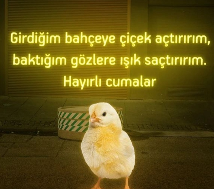 Kanlıca yoğurdunun diyarı İstanbuldan herkese kucak dolusu sevgiler saygılar? Kimler hangi şehirden peki?