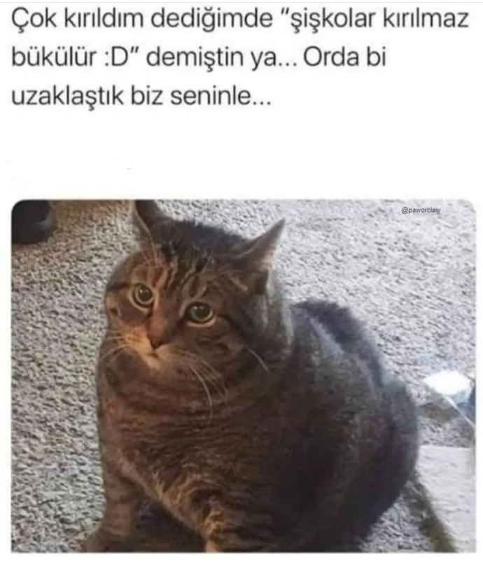 Kilonla dalga geçenler oldu mu hiç? Yoksa fit doğdun fit mi yaşıyorsun?