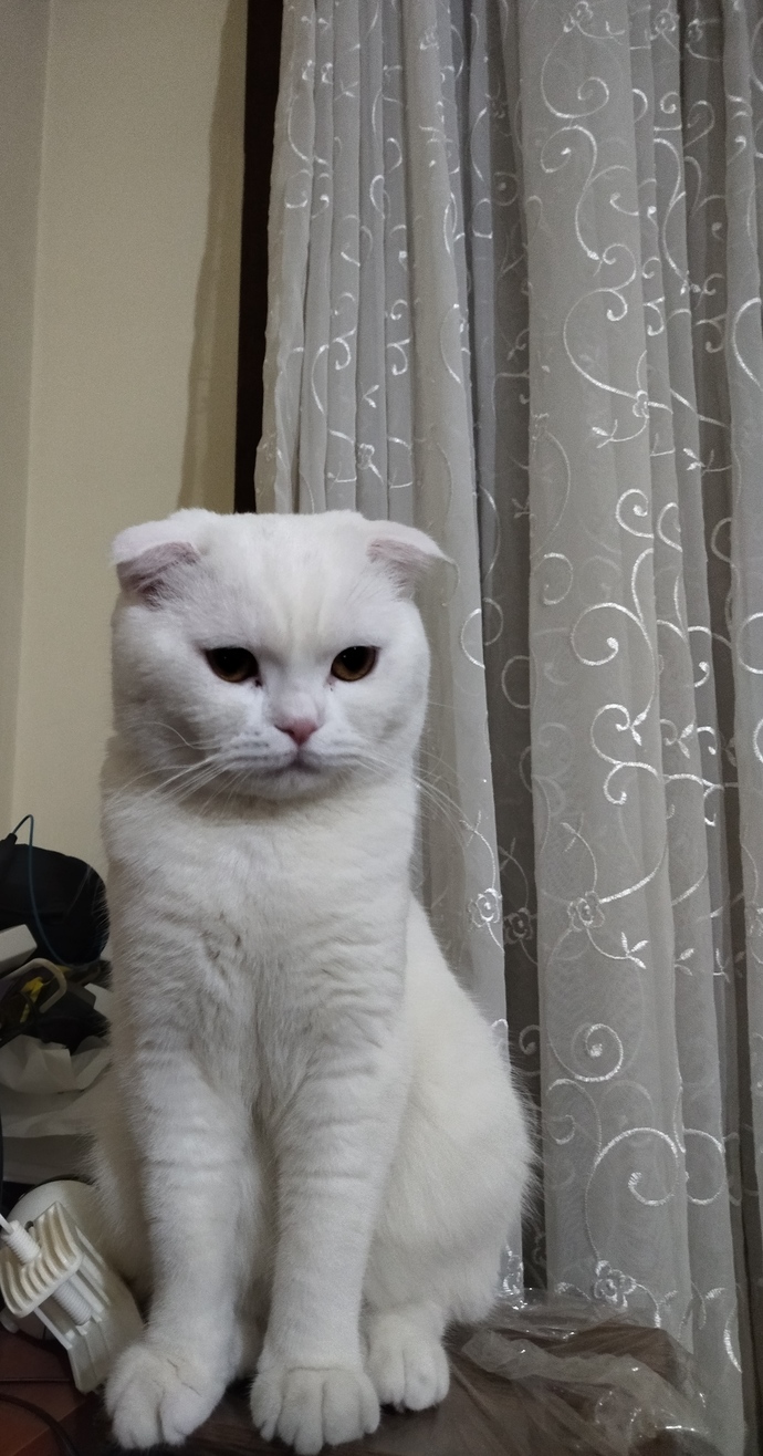 Galerindeki son fotoğraf ne?