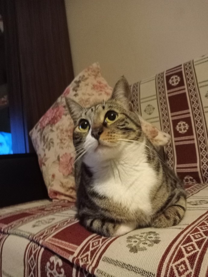 Galerindeki son fotoğraf ne?