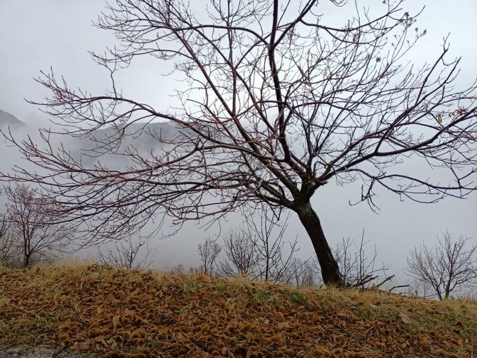 Fotoğraf çekmeyi seviyor musunuz?