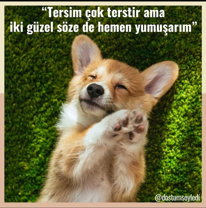 Ters misiniz, cana yakın mı 😂?