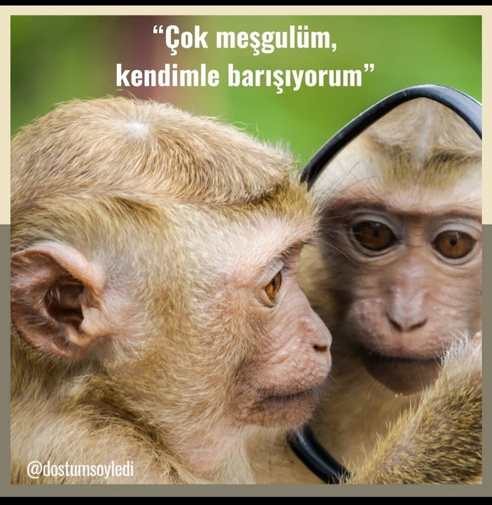 Kendinizle barışık mısınız 🙃?