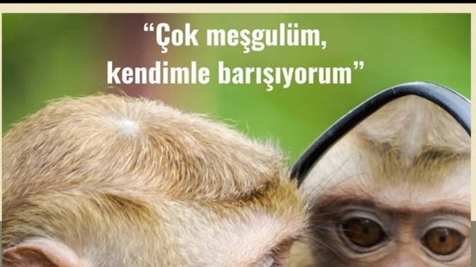 Kendinizle barışık mısınız 🙃?
