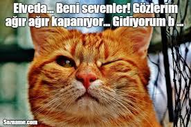 Gece 03:13de ne yapıyorsunuz?
