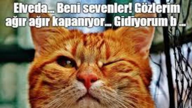 Gece 03:13'de ne yapıyorsunuz?
