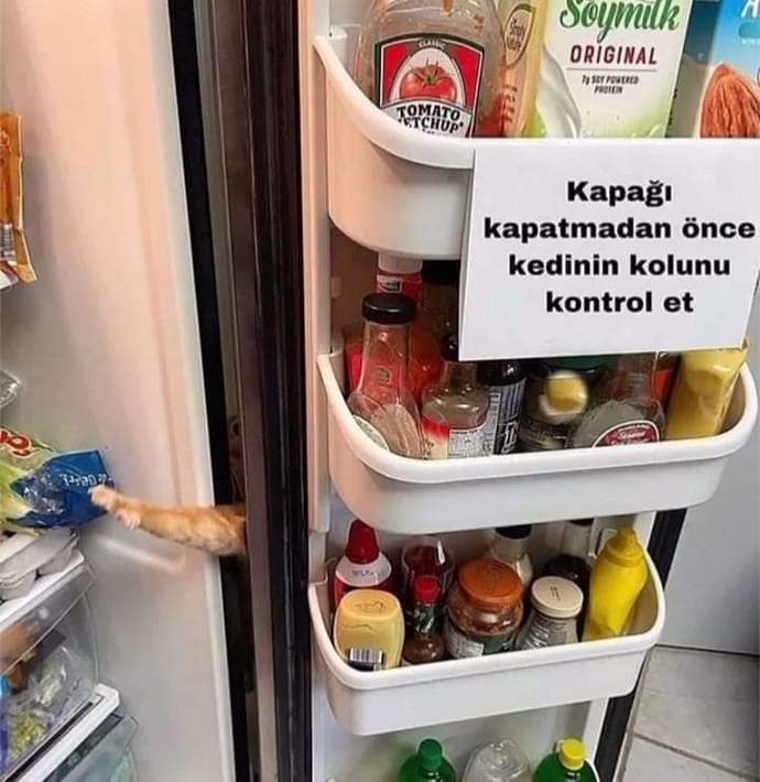 #nirhammm🔴🔴🔴🔴