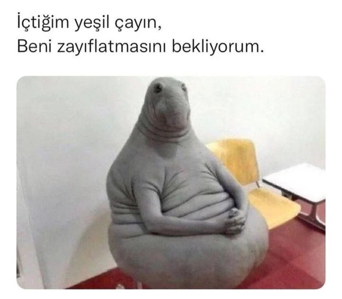 En iyi zayıflama metodu nedir?