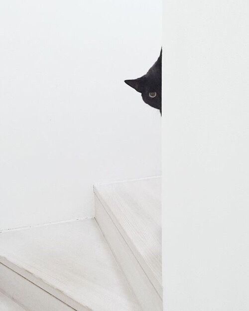 Sevgilinizin ailesinin sizi araştırdığını duysanız ne düşünürsünüz?
