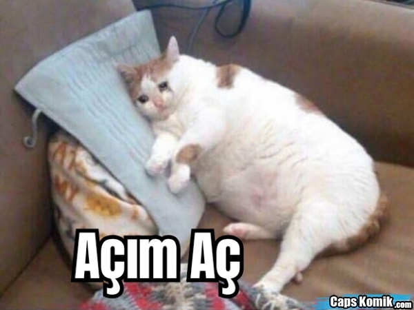 İlgiyi sever misiniz?