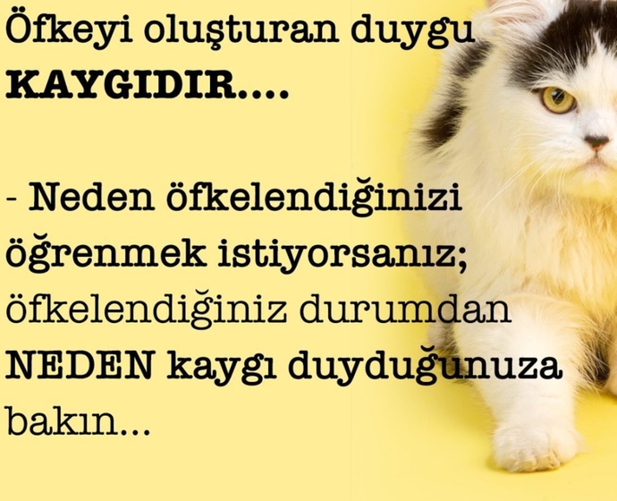 Öfkeli anınızda neler yaparsınız? Siz kolay kolay öfkelenir misiniz?