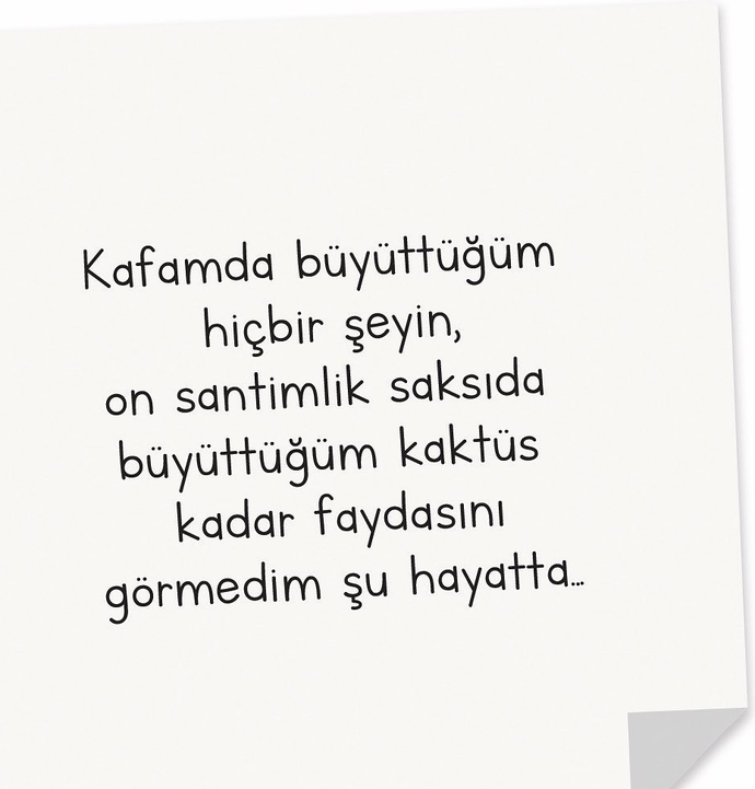 Kaktüs çiçek veriyor en azından 😎