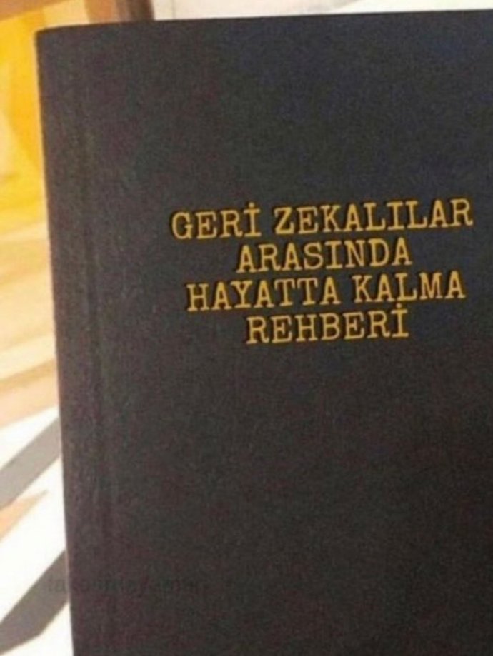Kendini Ne Yönde Geliştiriyorsun?