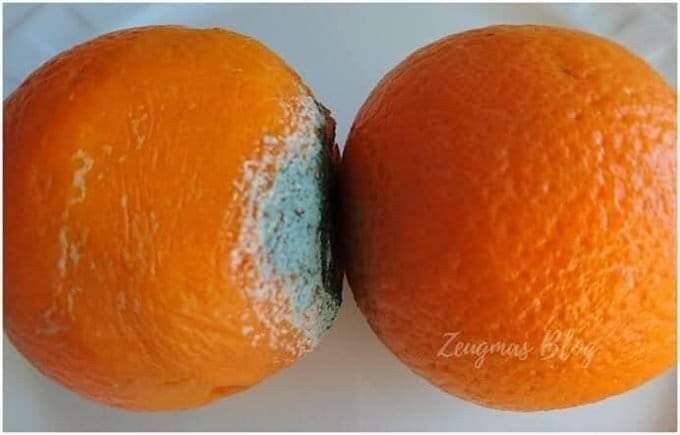 Bazen iyi olmak yeterli olmuyor, kötüden de uzak durmak gerekiyor mu?