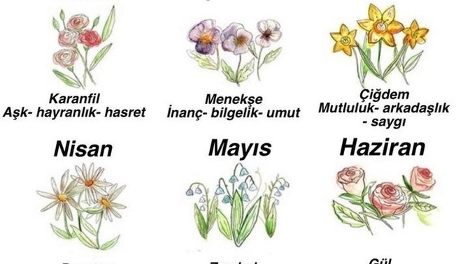 Doğum Ayı çiceğiniz hangisi?