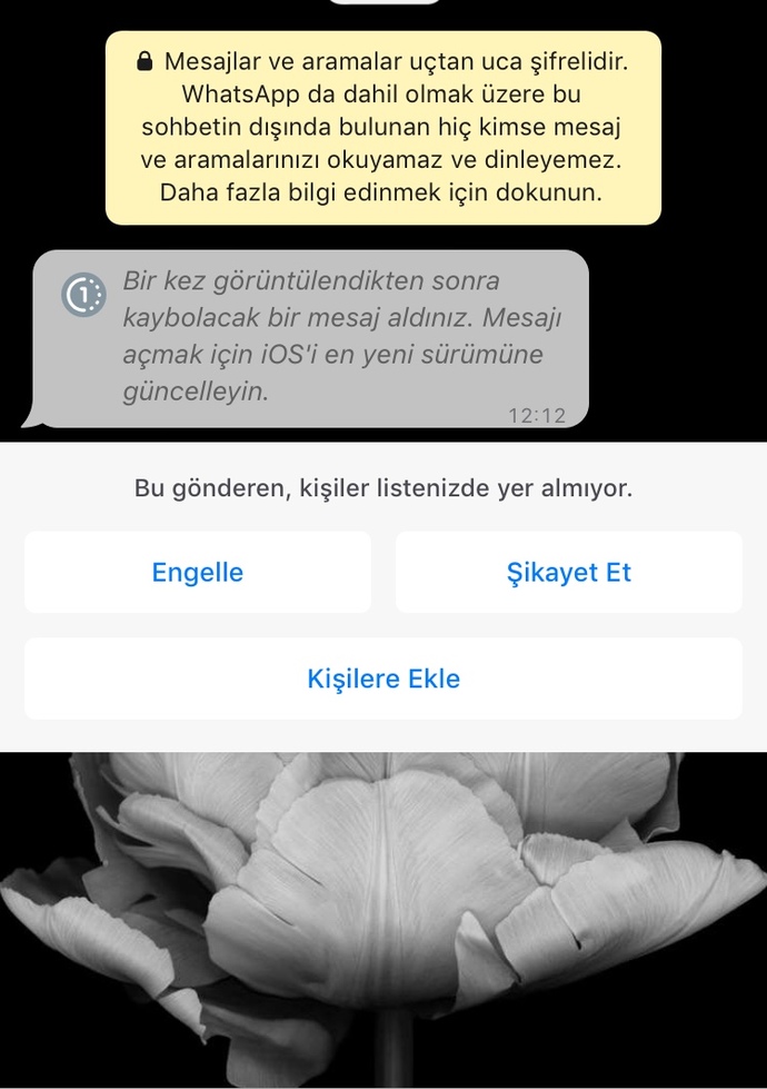 Yabancı numaradan Whatsapp Mesajı? Başına gelen var mı bu nedir?