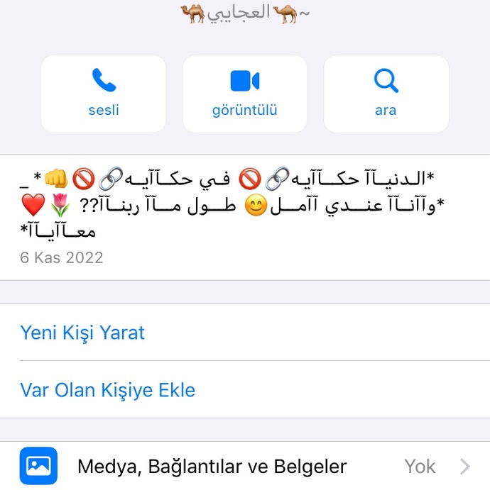 Yabancı numaradan Whatsapp Mesajı? Başına gelen var mı bu nedir?