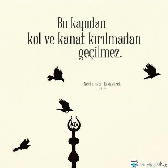 Bu Yalan dünyada kol ve kanat kırılmadan geçilmez sizcede öyle değil mi?