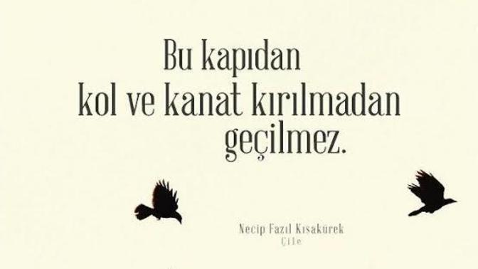 Bu Yalan dünyada kol ve kanat kırılmadan geçilmez sizcede öyle değil mi?
