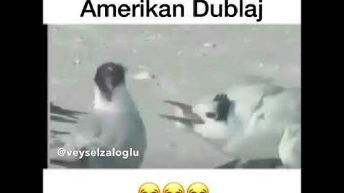 Ramazan ayı denilince aklınıza neler geliyor?