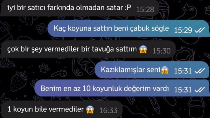 Kendinize bir değer biçin bakalım! Sizi satacak olsak kaç koyun verirler?