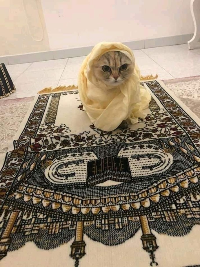 Düzenli namaz kılanınız var mı?
